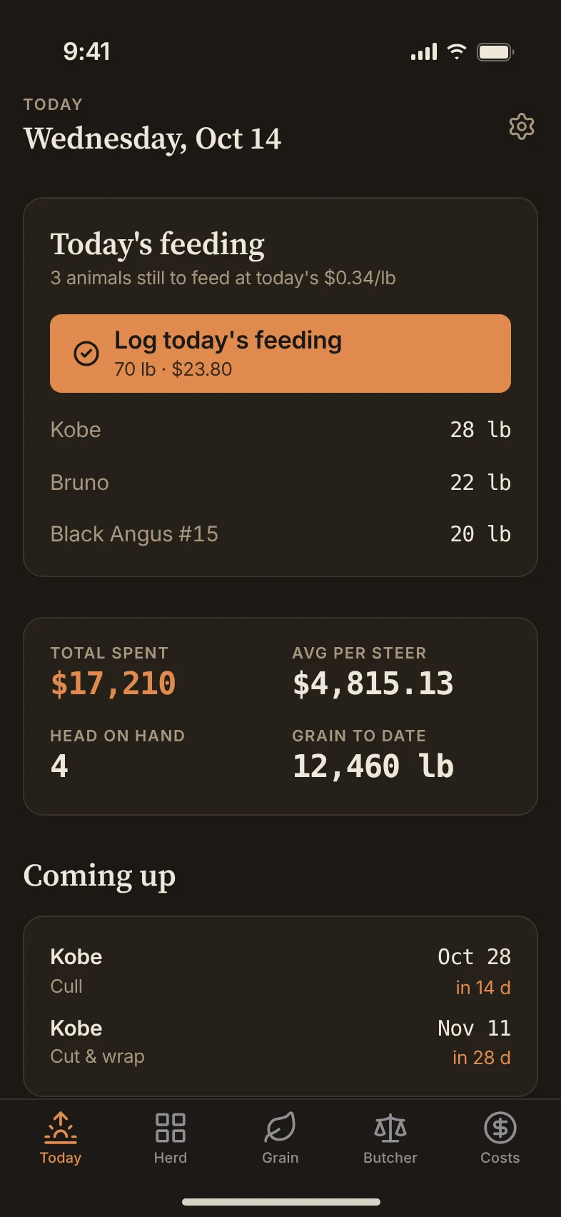 The Today screen: a Log today's feeding button, totals for the herd and upcoming cull and cut-and-wrap dates.